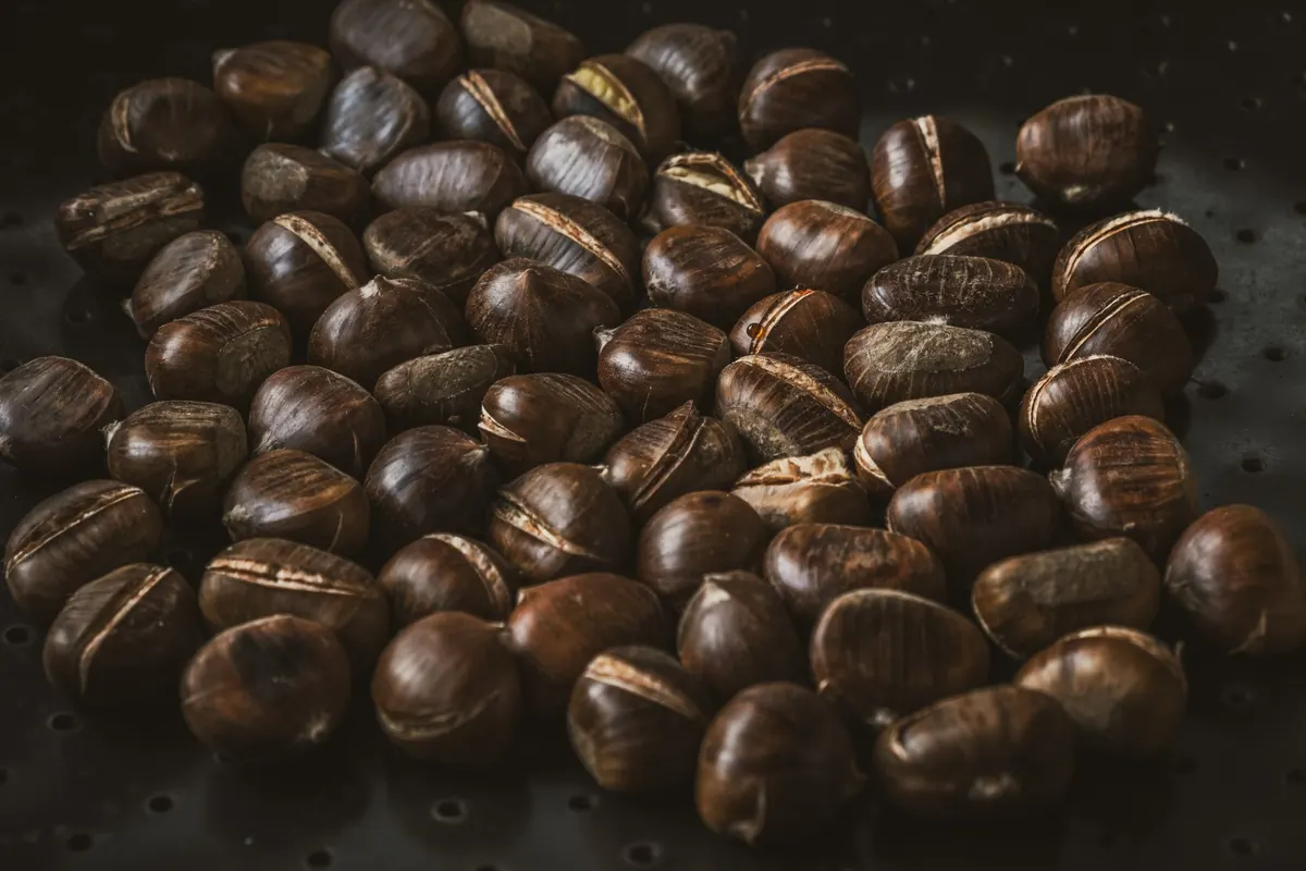 Conker Season Checklist: Harvesting, Drying and Storing Your Nuts
